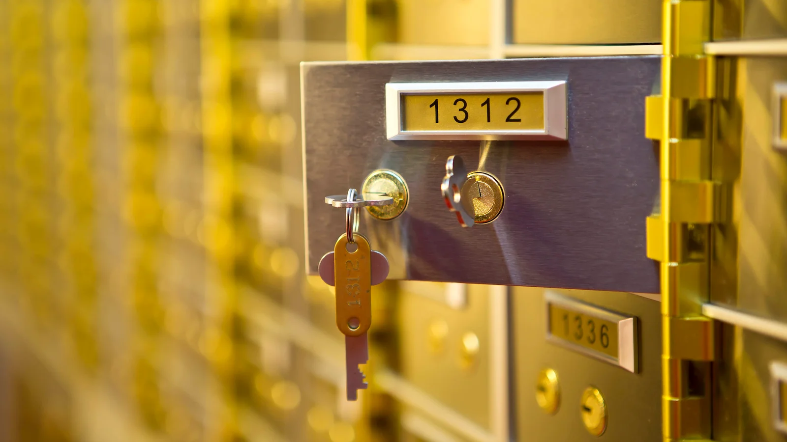 Secure vault storage